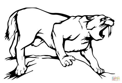Dibujo de Tigre Dientes de Sable para colorear | Dibujos: Dibujar y Colorear Fácil, dibujos de Un Tigre Dientes De Sable, como dibujar Un Tigre Dientes De Sable para colorear e imprimir
