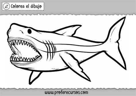 Dibujos Para Colorear De Tiburon Photos Download JPG. PNG: Dibujar Fácil, dibujos de Un Tiguron, como dibujar Un Tiguron paso a paso para colorear
