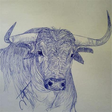 Pin by Ricardo V_ on Bull | Drawings. Art. Animals: Aprender como Dibujar y Colorear Fácil con este Paso a Paso, dibujos de Un Toro Realista, como dibujar Un Toro Realista para colorear