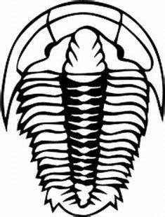 Trilobite :: DINOSAURS :: Decals :: Custom Lettering and: Aprende como Dibujar y Colorear Fácil, dibujos de Un Trilobites, como dibujar Un Trilobites paso a paso para colorear