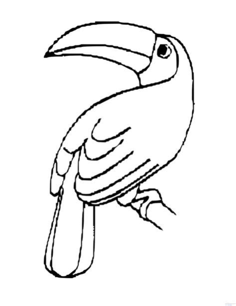 磊【+2250】Fáciles dibujos de tucanes para dibujar ⚡️: Aprende como Dibujar y Colorear Fácil, dibujos de Un Tucan Para Niños, como dibujar Un Tucan Para Niños para colorear e imprimir
