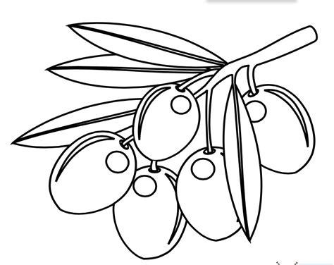 Dibujos de aceitunas para colorear: Aprender a Dibujar Fácil, dibujos de Una Aceituna, como dibujar Una Aceituna paso a paso para colorear