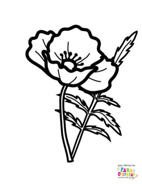 Dibujo de amapola de primavera para colorear | Para: Aprender a Dibujar Fácil, dibujos de Una Amapola, como dibujar Una Amapola para colorear e imprimir