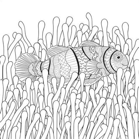 Anémona y pez payaso | Posterlounge.es: Aprende a Dibujar y Colorear Fácil, dibujos de Una Anemona, como dibujar Una Anemona para colorear