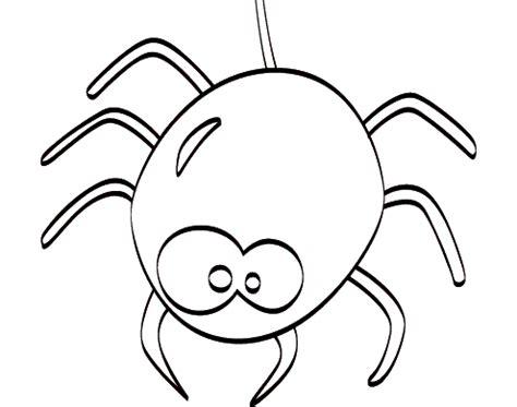 Miles De Cuentos Infantiles 🥇 Literatura Infantil Y: Dibujar y Colorear Fácil, dibujos de Una Araña Real, como dibujar Una Araña Real para colorear