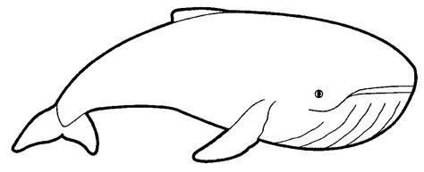 Imagenes de ballena jorobada para colorear e imprimir - Imagui: Dibujar y Colorear Fácil con este Paso a Paso, dibujos de Una Ballena Jorobada, como dibujar Una Ballena Jorobada para colorear