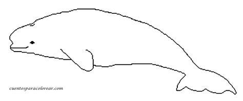 Beluga (Animales) – Colorear dibujos gratis: Aprender a Dibujar Fácil, dibujos de Una Beluga, como dibujar Una Beluga para colorear