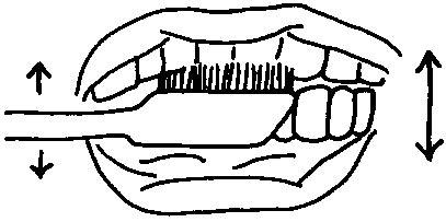 ¿Cómo cepillarse los dientes? - ¿Cómo lo puedo hacer?: Dibujar Fácil con este Paso a Paso, dibujos de Una Boca De Lado, como dibujar Una Boca De Lado para colorear