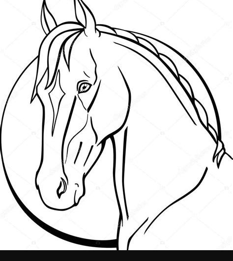 Fotos: cabezas de caballos para dibujar | Caballo Luna: Aprender a Dibujar Fácil, dibujos de Una Cara De Caballo, como dibujar Una Cara De Caballo para colorear e imprimir