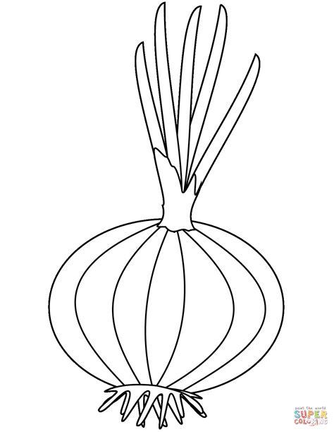 Dibujo de Cebolla con Brote para colorear | Dibujos para: Dibujar Fácil con este Paso a Paso, dibujos de Una Cebolla, como dibujar Una Cebolla para colorear