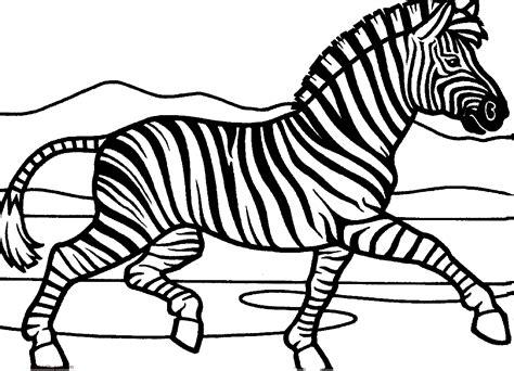 Dibujos de cebras para colorear: Aprender como Dibujar Fácil con este Paso a Paso, dibujos de Una Cebra Para Niños, como dibujar Una Cebra Para Niños para colorear e imprimir