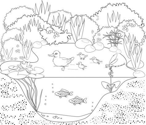 Plantas acuáticas Imágenes Vectoriales. Ilustraciones: Aprender como Dibujar y Colorear Fácil con este Paso a Paso, dibujos de Una Charca, como dibujar Una Charca para colorear