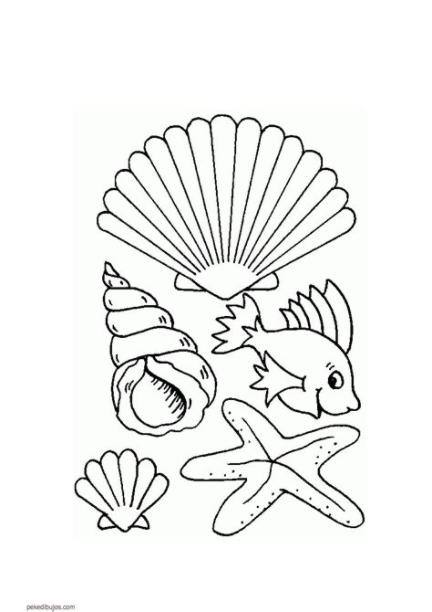 Dibujos de conchas marinas para colorear: Dibujar Fácil con este Paso a Paso, dibujos de Una Cocha De Mar, como dibujar Una Cocha De Mar paso a paso para colorear