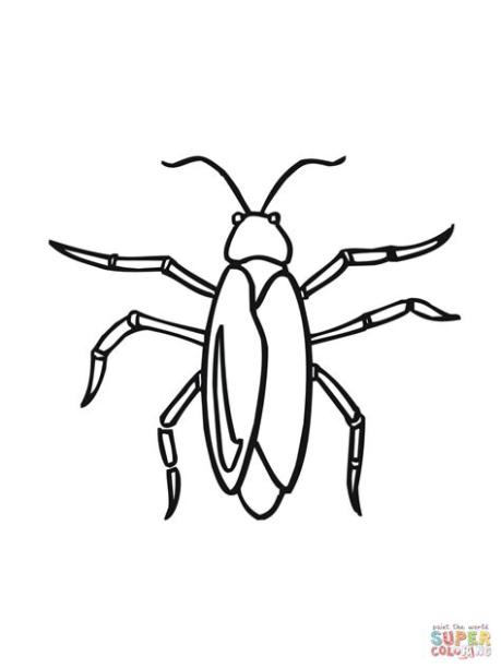 Dibujo de Dibujo de una Cucaracha para colorear | Dibujos: Aprende como Dibujar y Colorear Fácil, dibujos de Una Cucaracha, como dibujar Una Cucaracha paso a paso para colorear