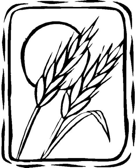 Dibujos de espigas de trigo para colorear - Imagui: Aprender a Dibujar Fácil, dibujos de Una Espiga, como dibujar Una Espiga paso a paso para colorear