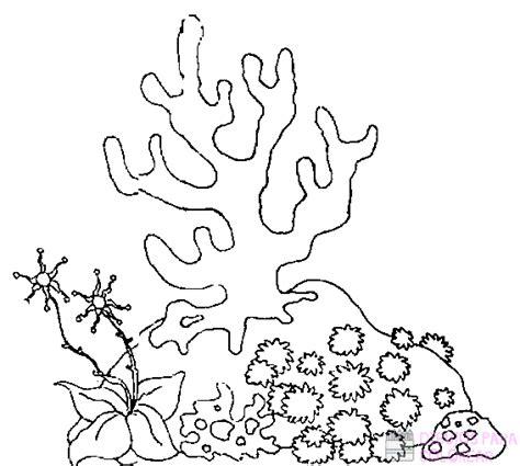磊 Dibujos de Esponjas de Mar【+250】faciles para colorear: Dibujar Fácil con este Paso a Paso, dibujos de Una Esponja De Mar, como dibujar Una Esponja De Mar para colorear e imprimir