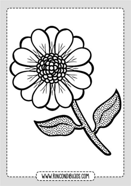 Dibujos de Flores para colorear | Rincon Dibujos Laminas: Aprender como Dibujar Fácil, dibujos de Una Flor Bonita Y, como dibujar Una Flor Bonita Y para colorear e imprimir