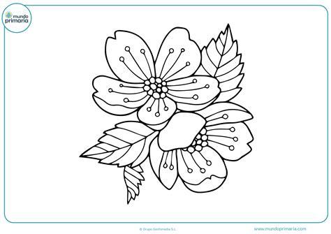 Dibujo De La Flor Con Sus Partes - Compartir Flores: Aprender como Dibujar y Colorear Fácil con este Paso a Paso, dibujos de Una Flor Bonita Y, como dibujar Una Flor Bonita Y para colorear