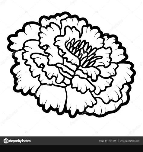 Libro para colorear. caléndula flor — Archivo Imágenes: Aprender a Dibujar Fácil, dibujos de Una Flor De Cempasuchil, como dibujar Una Flor De Cempasuchil para colorear e imprimir
