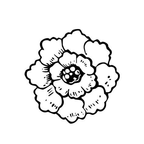 Dibujo Para Colorear Flores De Cempasúchil - Decorados: Dibujar y Colorear Fácil, dibujos de Una Flor De Cempasuchil, como dibujar Una Flor De Cempasuchil paso a paso para colorear