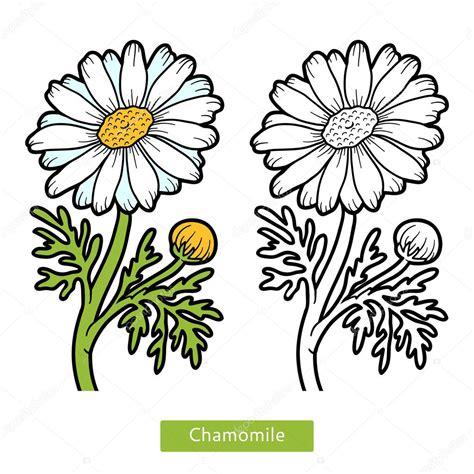 Vector: silueta de flor para colorear | Libro para: Dibujar y Colorear Fácil, dibujos de Una Flor De Manzanilla, como dibujar Una Flor De Manzanilla para colorear e imprimir