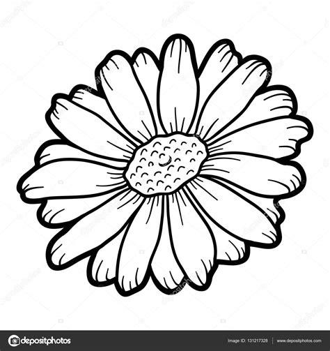 Libro para colorear. flor de manzanilla Imagen Vectorial: Aprender a Dibujar Fácil, dibujos de Una Flor De Manzanilla, como dibujar Una Flor De Manzanilla para colorear