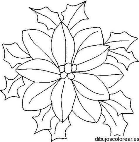 Flor de pascua para colorear - Imagui | Hojas de navidad: Aprende como Dibujar Fácil, dibujos de Una Flor De Pascua, como dibujar Una Flor De Pascua para colorear e imprimir