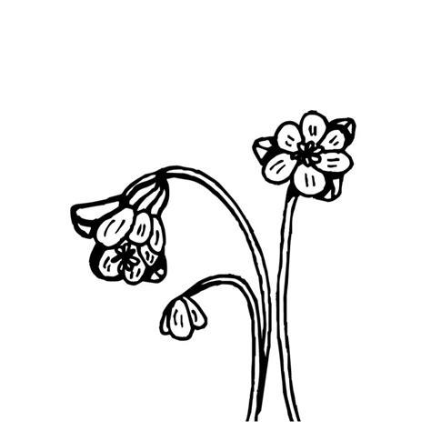 Flor marchita para colorear: Dibujar Fácil, dibujos de Una Flor Marchita, como dibujar Una Flor Marchita para colorear e imprimir