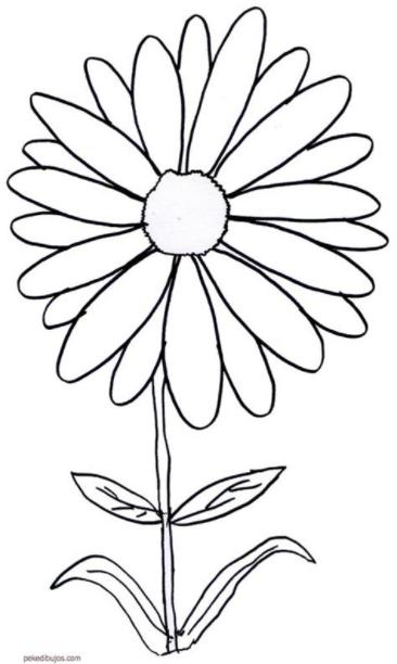 Dibujos de margaritas para colorear: Aprende a Dibujar Fácil con este Paso a Paso, dibujos de Una Flor Margarita, como dibujar Una Flor Margarita para colorear