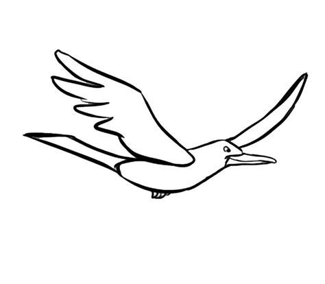 Dibujos de gaviotas volando para colorear - Imagui: Dibujar Fácil con este Paso a Paso, dibujos de Una Gaviota Volando, como dibujar Una Gaviota Volando paso a paso para colorear