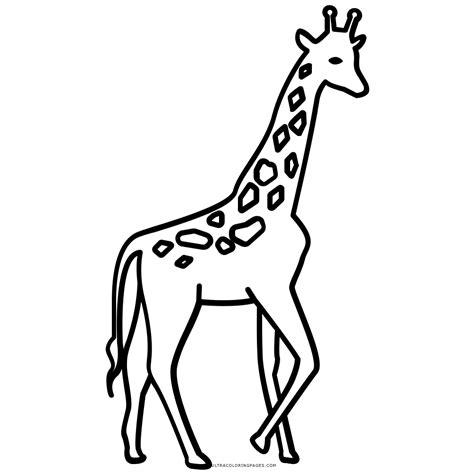 Dibujo De Jirafa Para Colorear - Ultra Coloring Pages: Aprender a Dibujar Fácil con este Paso a Paso, dibujos de Una Girafa, como dibujar Una Girafa para colorear