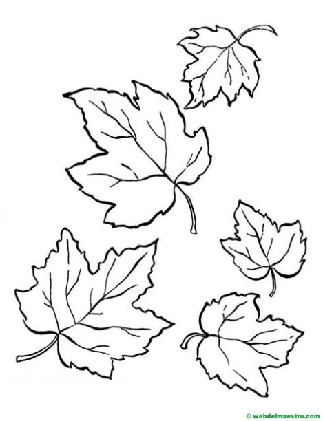 hojas de otoño para colorear- Web del maestro: Aprender como Dibujar Fácil con este Paso a Paso, dibujos de Una Hoja De Otoño, como dibujar Una Hoja De Otoño para colorear