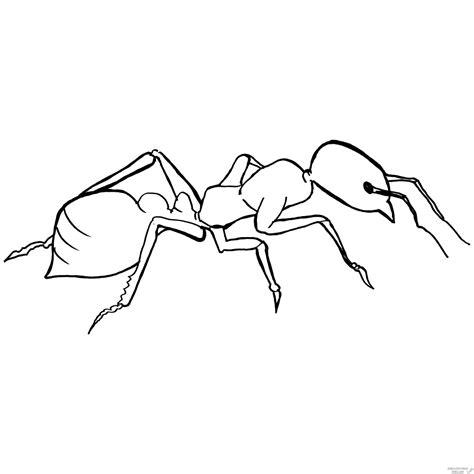 磊 Dibujos de Hormigas【190】para dibujar: Aprender a Dibujar Fácil con este Paso a Paso, dibujos de Una Hormiga Para Niños, como dibujar Una Hormiga Para Niños para colorear