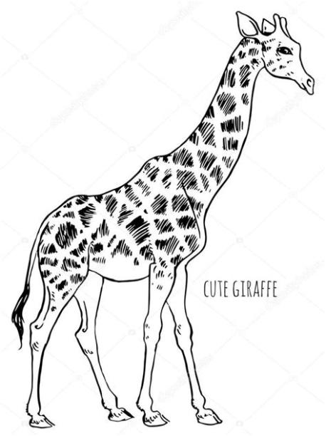 Girafa de desenho de mão — Vetor de Stock: Aprende como Dibujar Fácil, dibujos de Una Jirafa Realista, como dibujar Una Jirafa Realista para colorear