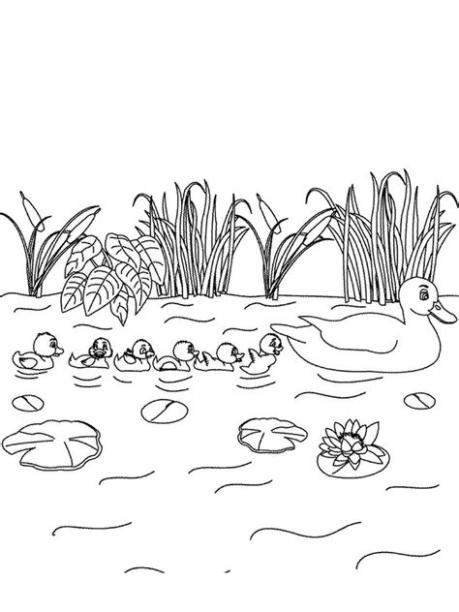 Dibujos de lago para colorear imprimir gratis: Dibujar Fácil, dibujos de Una Laguna, como dibujar Una Laguna paso a paso para colorear