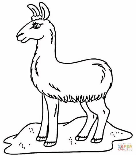 Dibujo de Llama en los prados para colorear | Dibujos para: Aprender a Dibujar y Colorear Fácil con este Paso a Paso, dibujos de Una Llama, como dibujar Una Llama paso a paso para colorear
