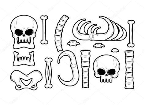 Imágenes: los huesos de la columna vertebral para: Dibujar Fácil con este Paso a Paso, dibujos de Una Mandibula, como dibujar Una Mandibula para colorear