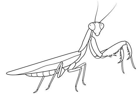 Dibujos para colorear: Mantis religiosa imprimible. gratis: Aprender a Dibujar y Colorear Fácil, dibujos de Una Mantis, como dibujar Una Mantis paso a paso para colorear