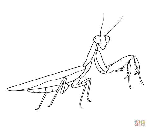 Dibujo de Mantis Religiosa para colorear | Dibujos para: Dibujar Fácil, dibujos de Una Mantis Religiosa, como dibujar Una Mantis Religiosa para colorear e imprimir