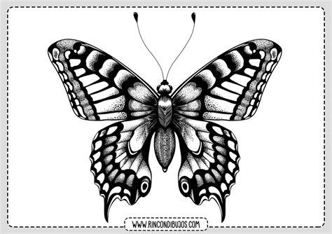 Bonito Dibujo Mariposa para Colorear - Rincon Dibujos: Aprende a Dibujar Fácil con este Paso a Paso, dibujos de Una Mariposa En 3D, como dibujar Una Mariposa En 3D paso a paso para colorear
