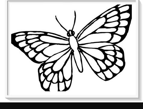mariposas para colorear pequeñas - 🥇 Dibujo imágenes: Dibujar Fácil, dibujos de Una Mariposa En 3D, como dibujar Una Mariposa En 3D para colorear