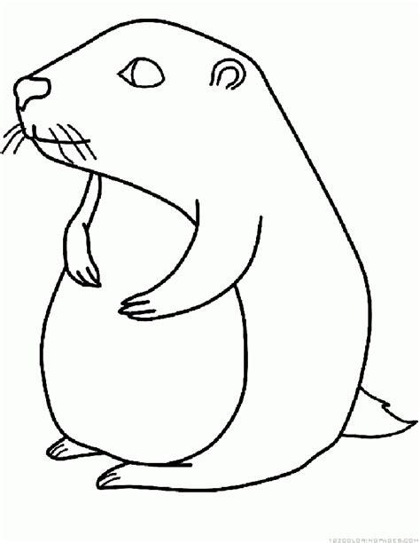 Marmota (Animales) – Colorear dibujos gratis: Aprender a Dibujar Fácil, dibujos de Una Marmota, como dibujar Una Marmota para colorear e imprimir