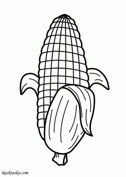 Dibujo de Mazorca de maíz para Colorear: Dibujar Fácil con este Paso a Paso, dibujos de Una Mazorca De Maiz, como dibujar Una Mazorca De Maiz paso a paso para colorear