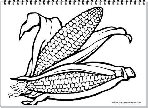 Dibujo de Mazorca de maíz para Colorear: Aprender como Dibujar Fácil, dibujos de Una Mazorca De Maiz, como dibujar Una Mazorca De Maiz para colorear
