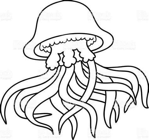 Pin on colegio: Aprender a Dibujar Fácil, dibujos de Una Medusa De Mar, como dibujar Una Medusa De Mar paso a paso para colorear