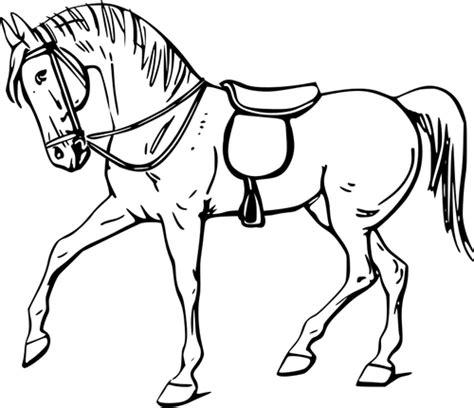 Dibujo de caballo con una montura vectorial | Vectores de: Aprender como Dibujar y Colorear Fácil con este Paso a Paso, dibujos de Una Montura De Caballo, como dibujar Una Montura De Caballo paso a paso para colorear