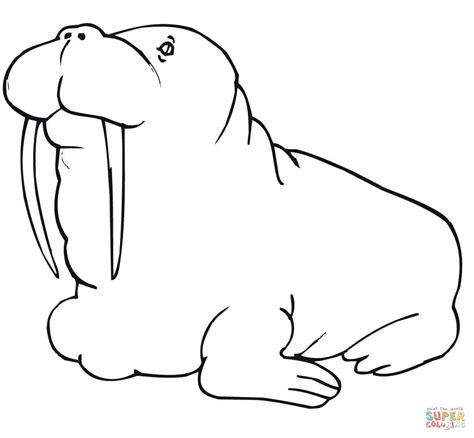 Dibujo de Caricatura de una Morsa para colorear | Dibujos: Aprende como Dibujar y Colorear Fácil, dibujos de Una Morsa, como dibujar Una Morsa paso a paso para colorear