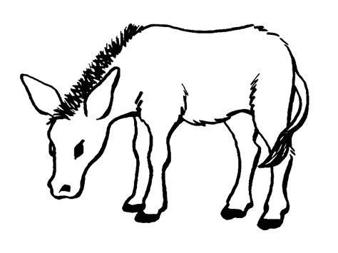 Colorear mula - Imagui: Aprender como Dibujar Fácil con este Paso a Paso, dibujos de Una Mula, como dibujar Una Mula paso a paso para colorear