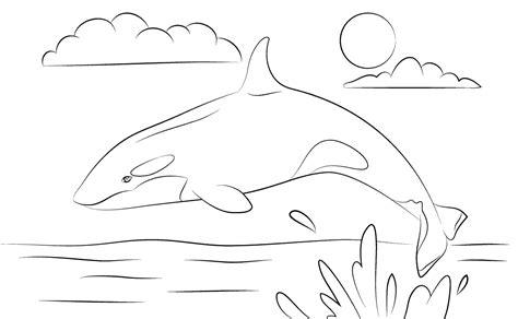 Dibujos infantiles de orcas para colorear: Dibujar y Colorear Fácil con este Paso a Paso, dibujos de Una Orca, como dibujar Una Orca para colorear e imprimir