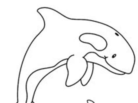 Dibujos infantiles de orcas para colorear: Aprender como Dibujar Fácil con este Paso a Paso, dibujos de Una Orca Realista, como dibujar Una Orca Realista para colorear